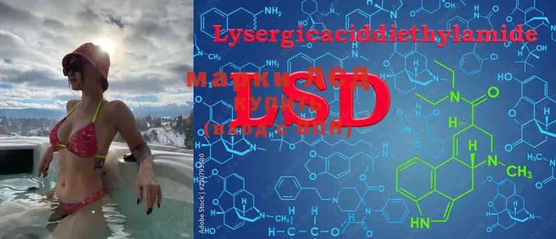 даркнет наркотические препараты  Крымск  LSD-25 экстази кислота  купить закладку 